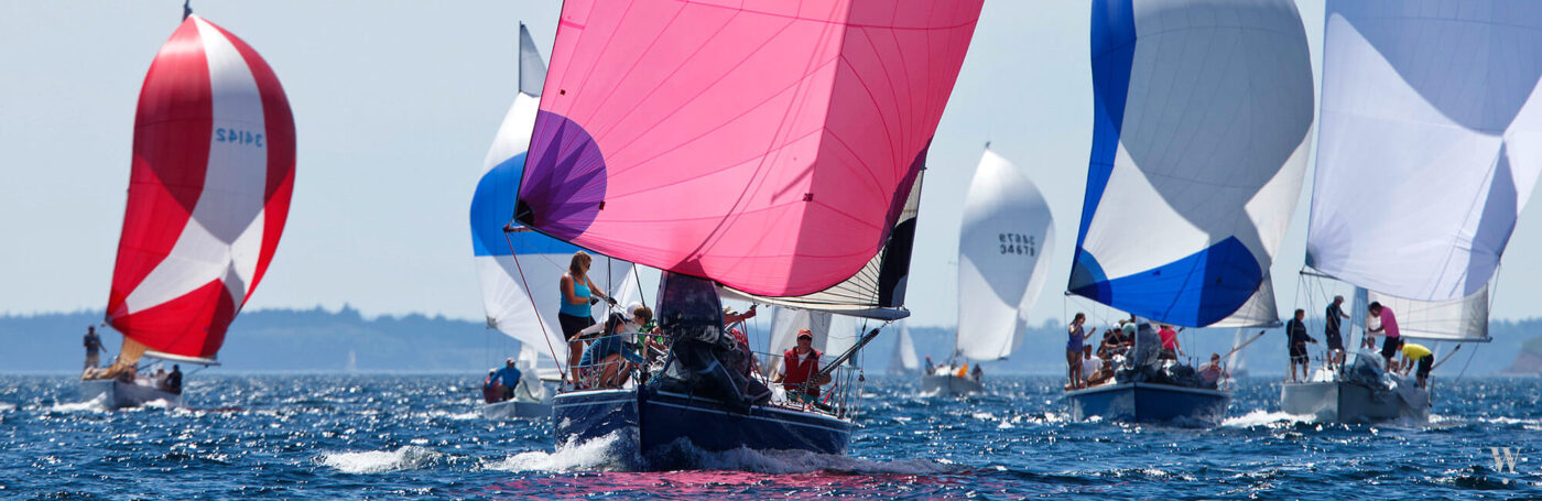 Chester Race Week | August 16 - 19, 2017
