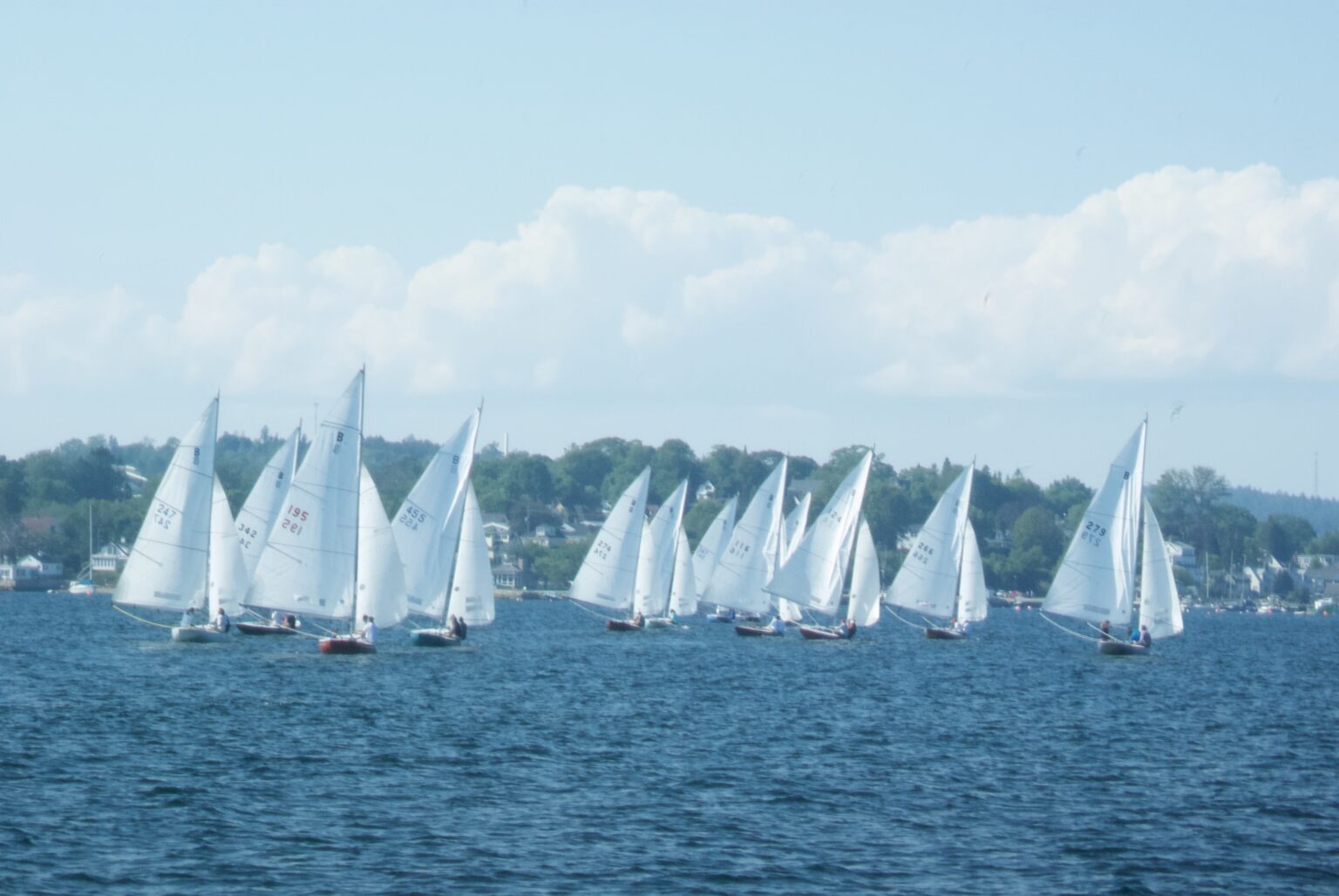 See Helly Hansen Chester Race Week up close with Salty Dog Sea Tours