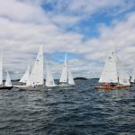 Several small sailboats with white sails get ready to race in a bay