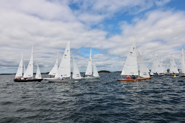 Several small sailboats with white sails get ready to race in a bay