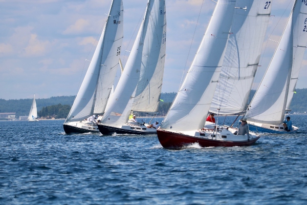 Boats with white sails line up in the water